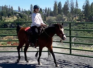 Riding a Sensitive Horse